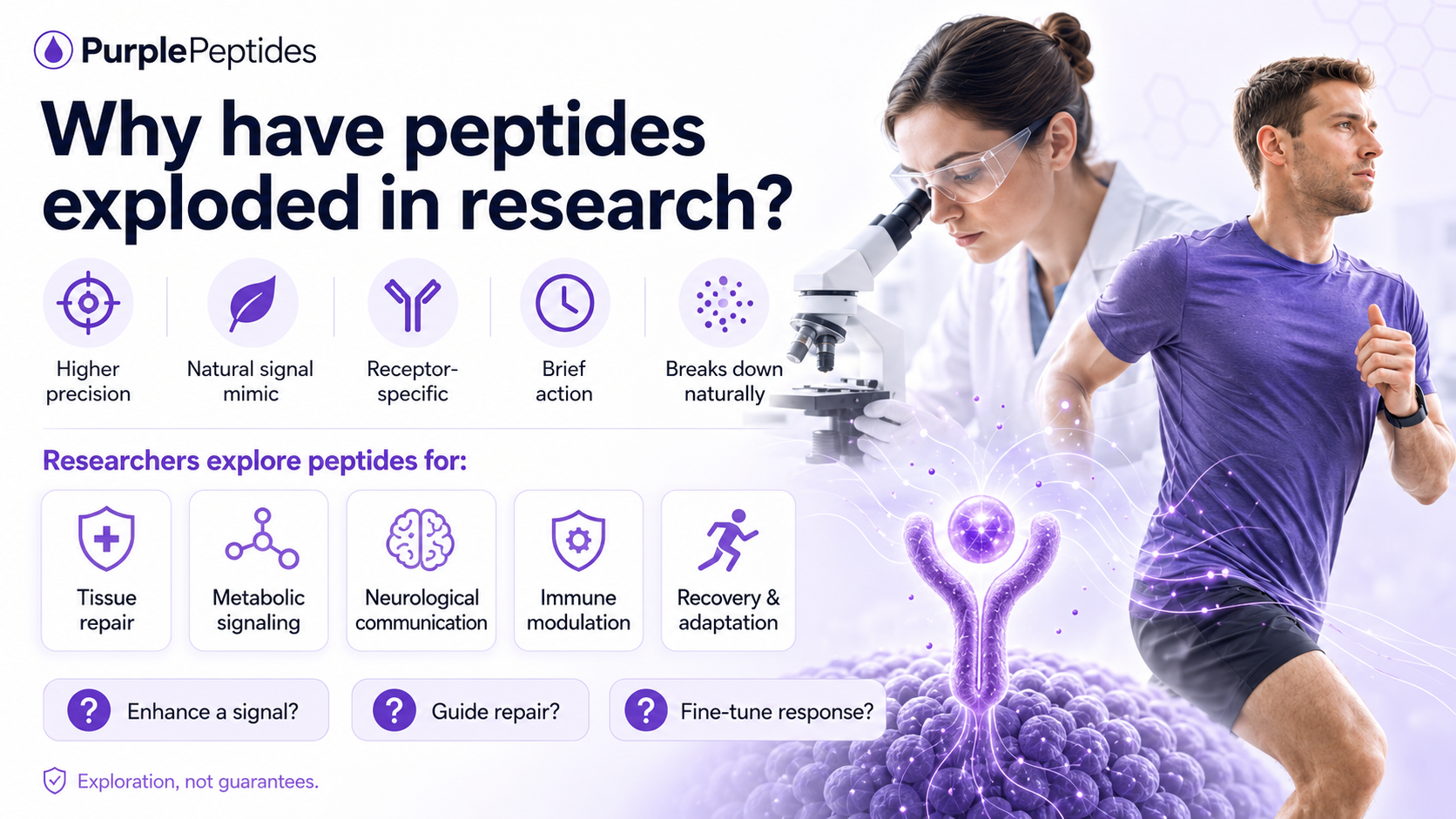 Why peptide research has grown visual explanation