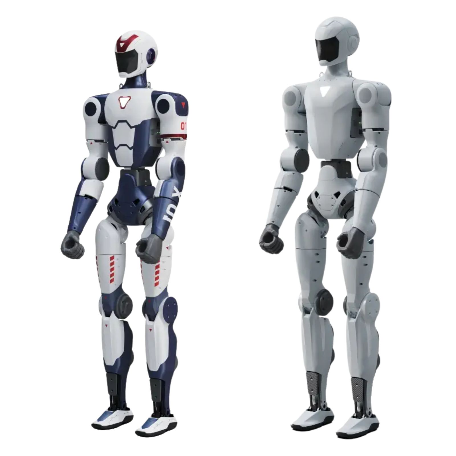 R1 — image 5