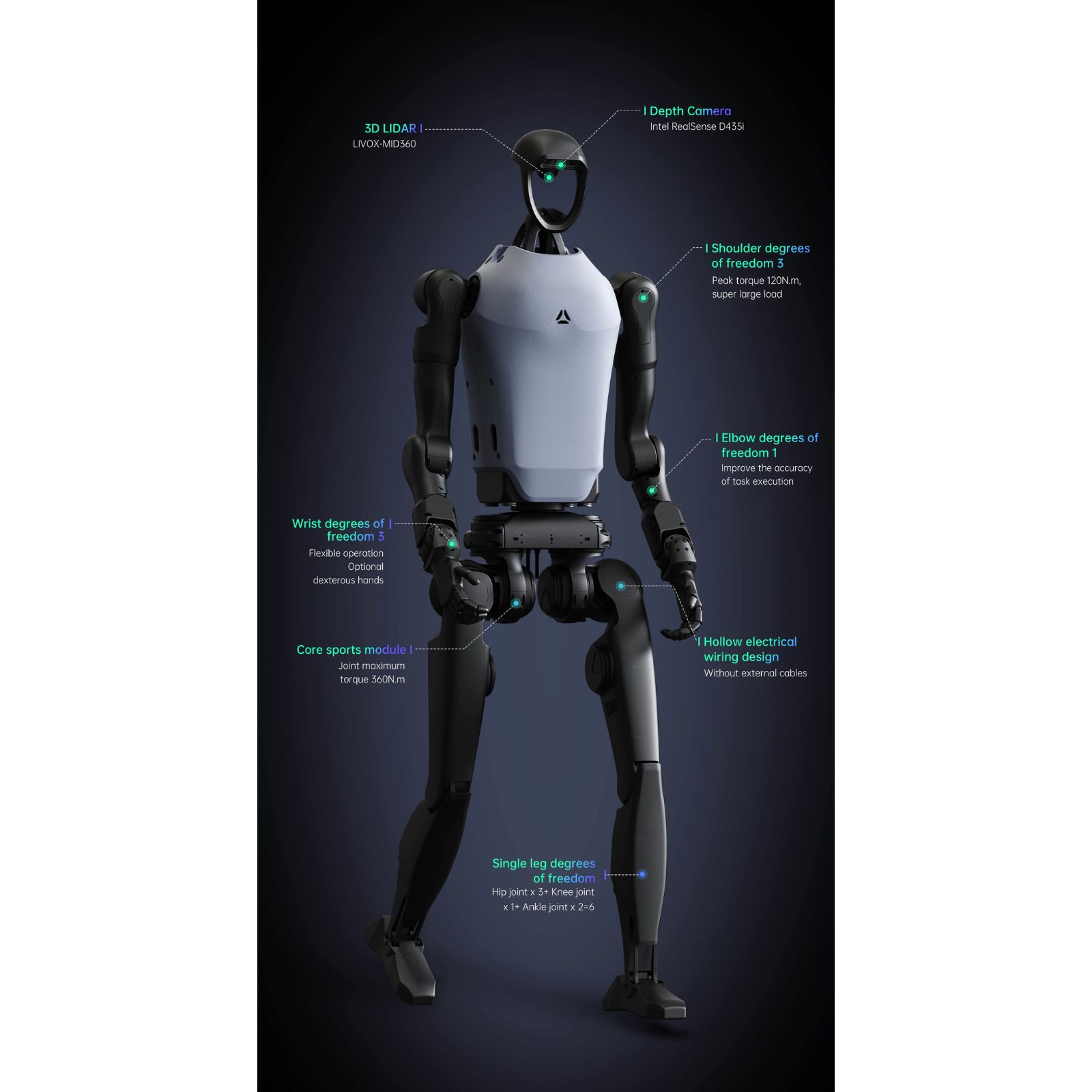 H1 — image 4