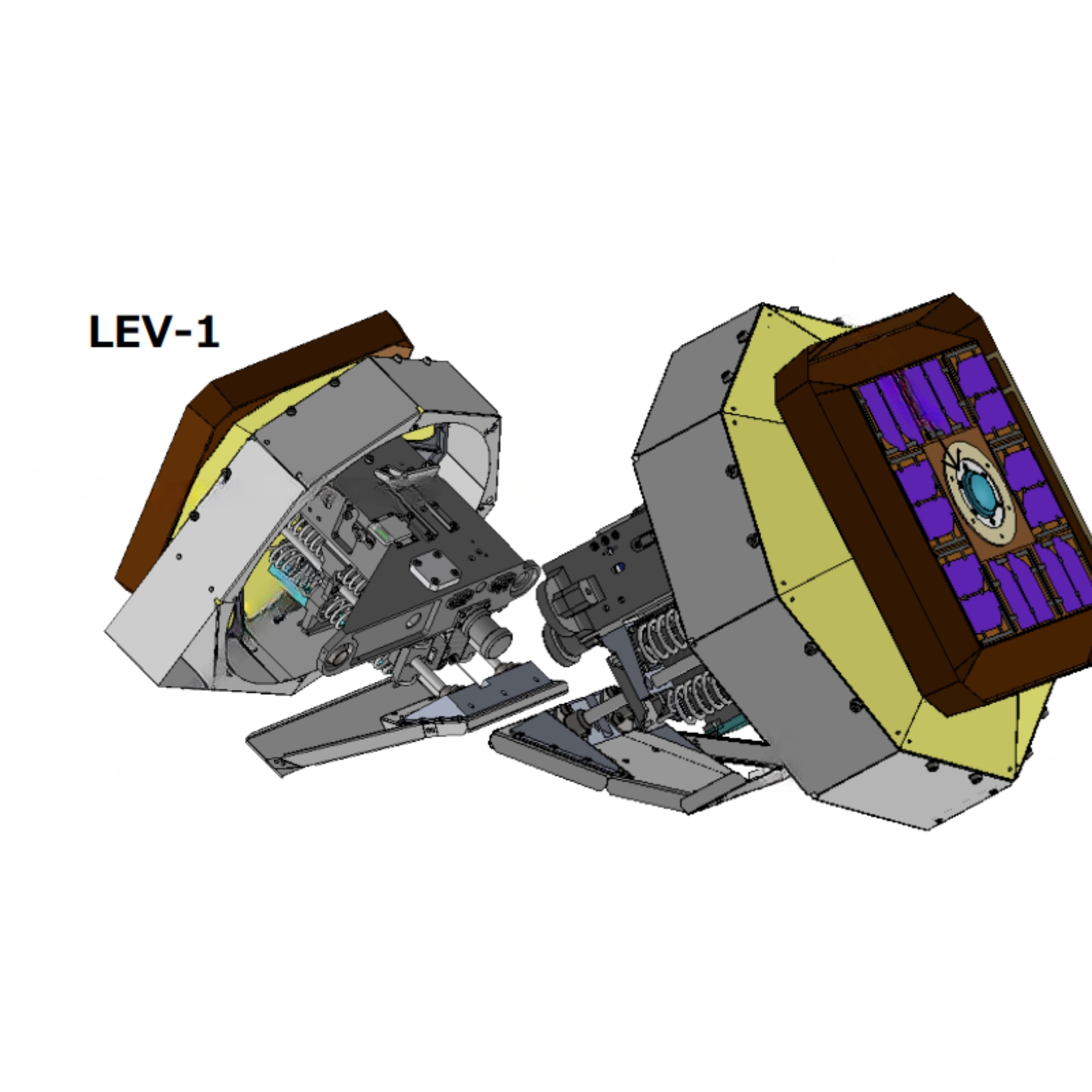 LEV-1 — image 3