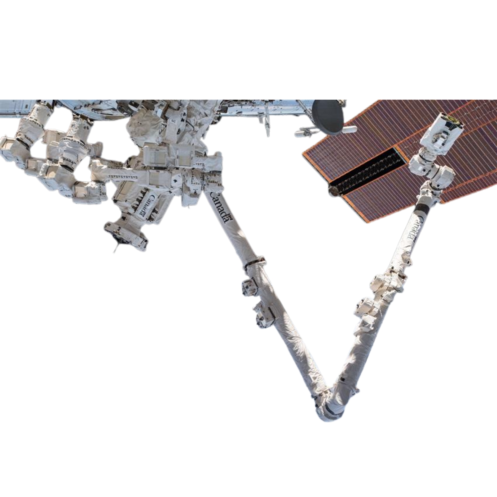 Canadarm2 (SSRMS) — image 3