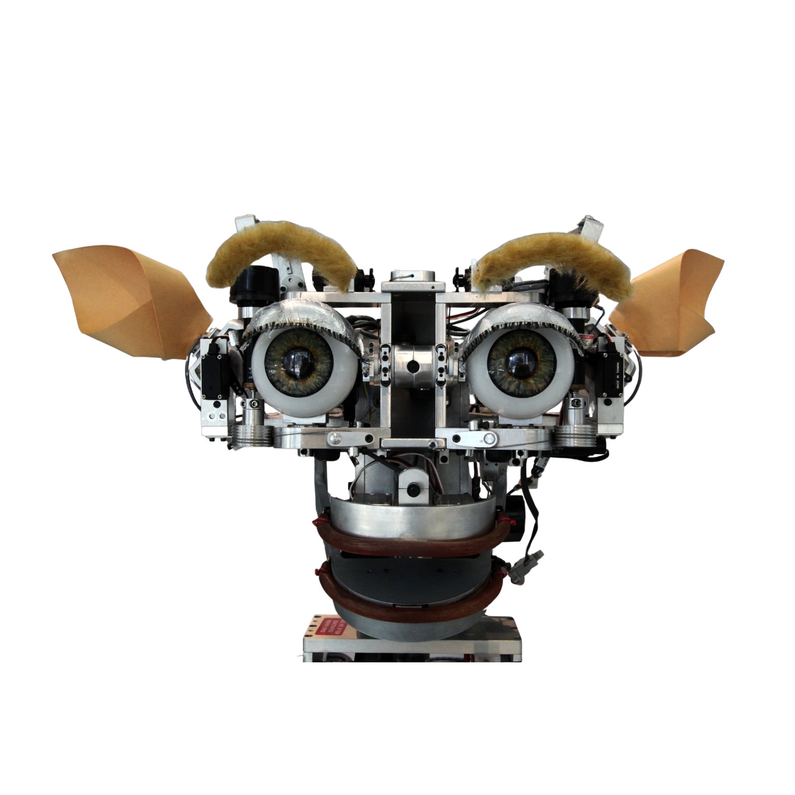 Kismet — image 1