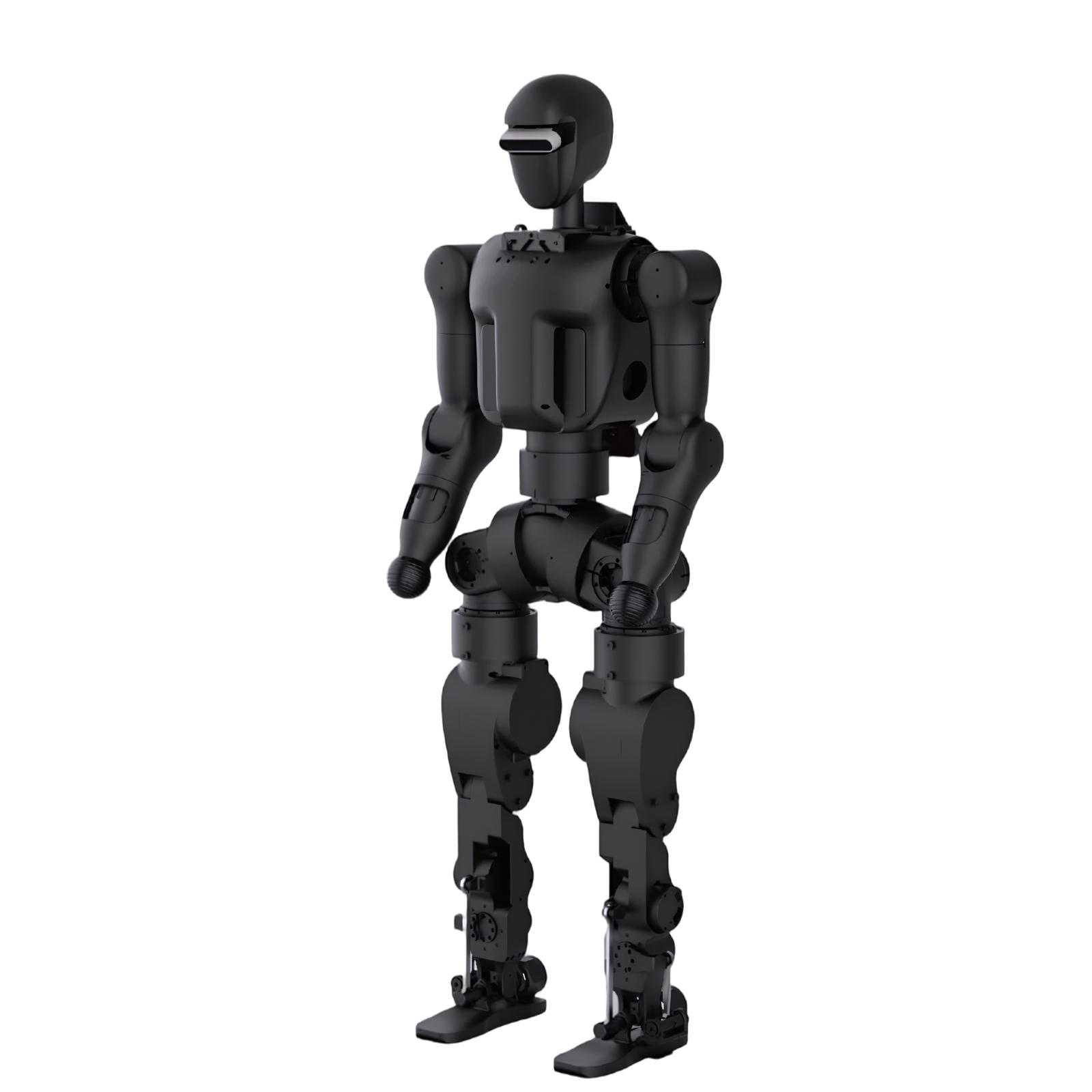 N1 robot