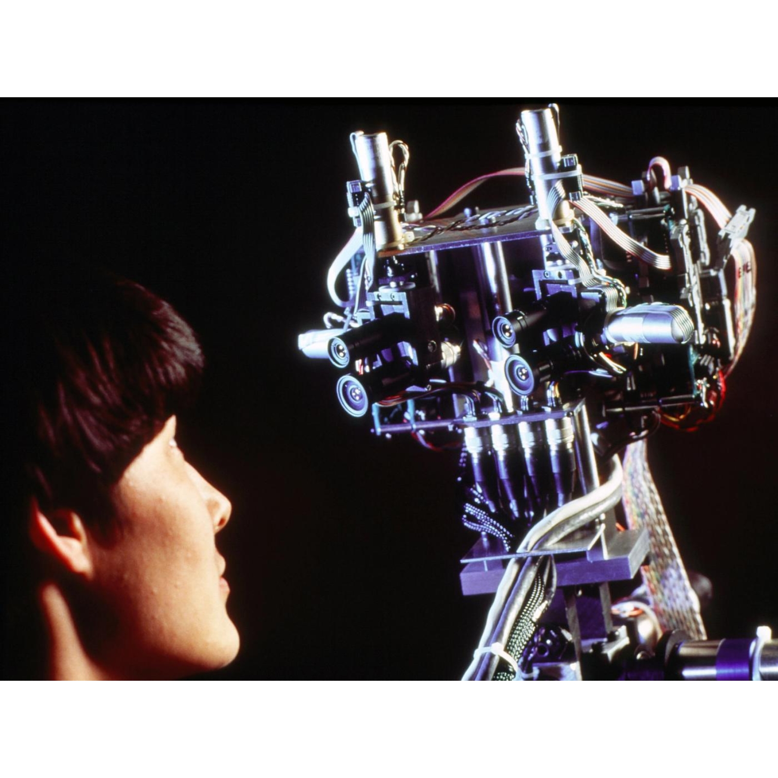 Cog — image 2
