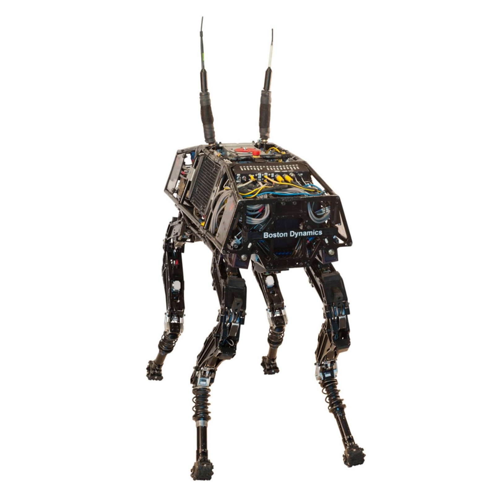 BigDog — image 5