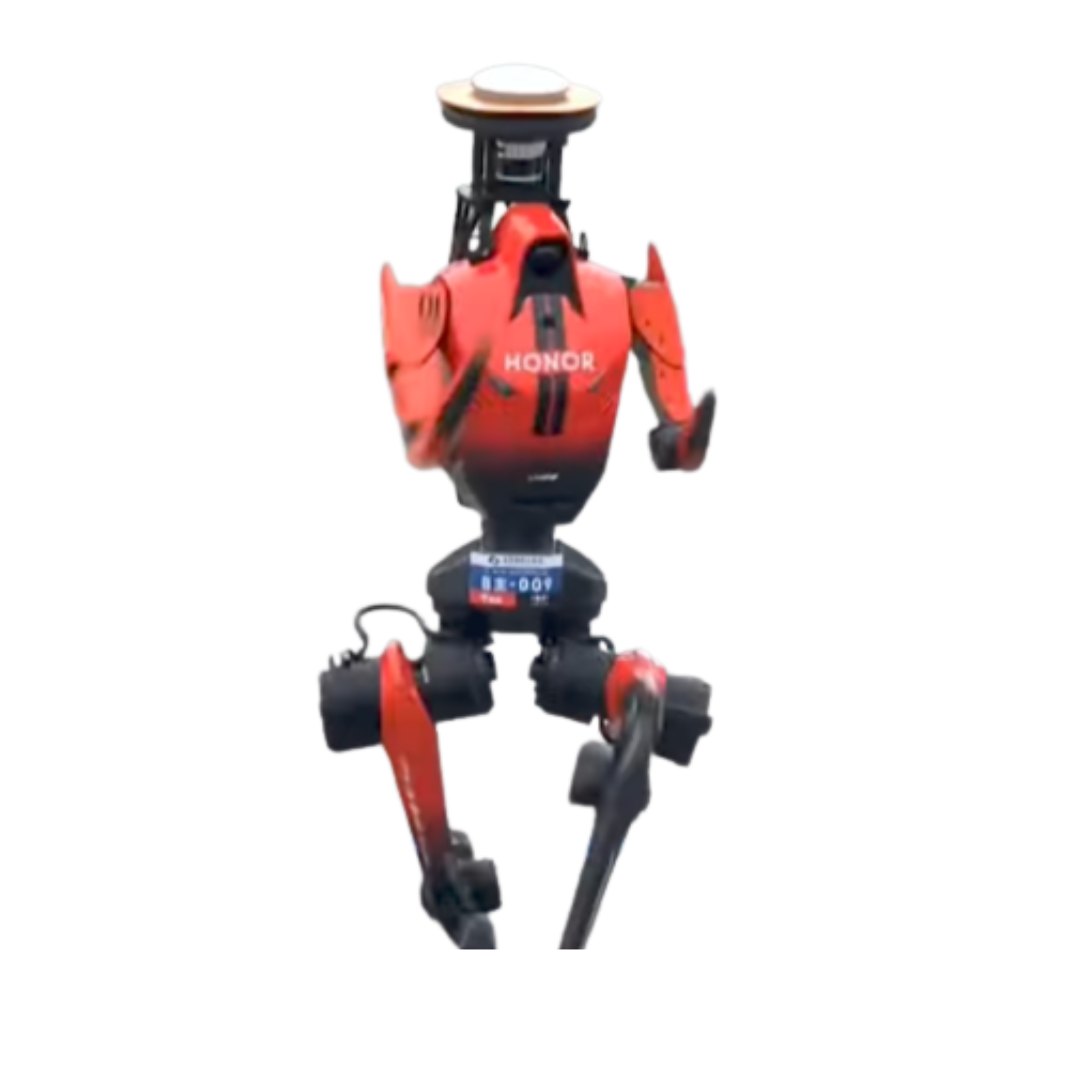 Lightning robot