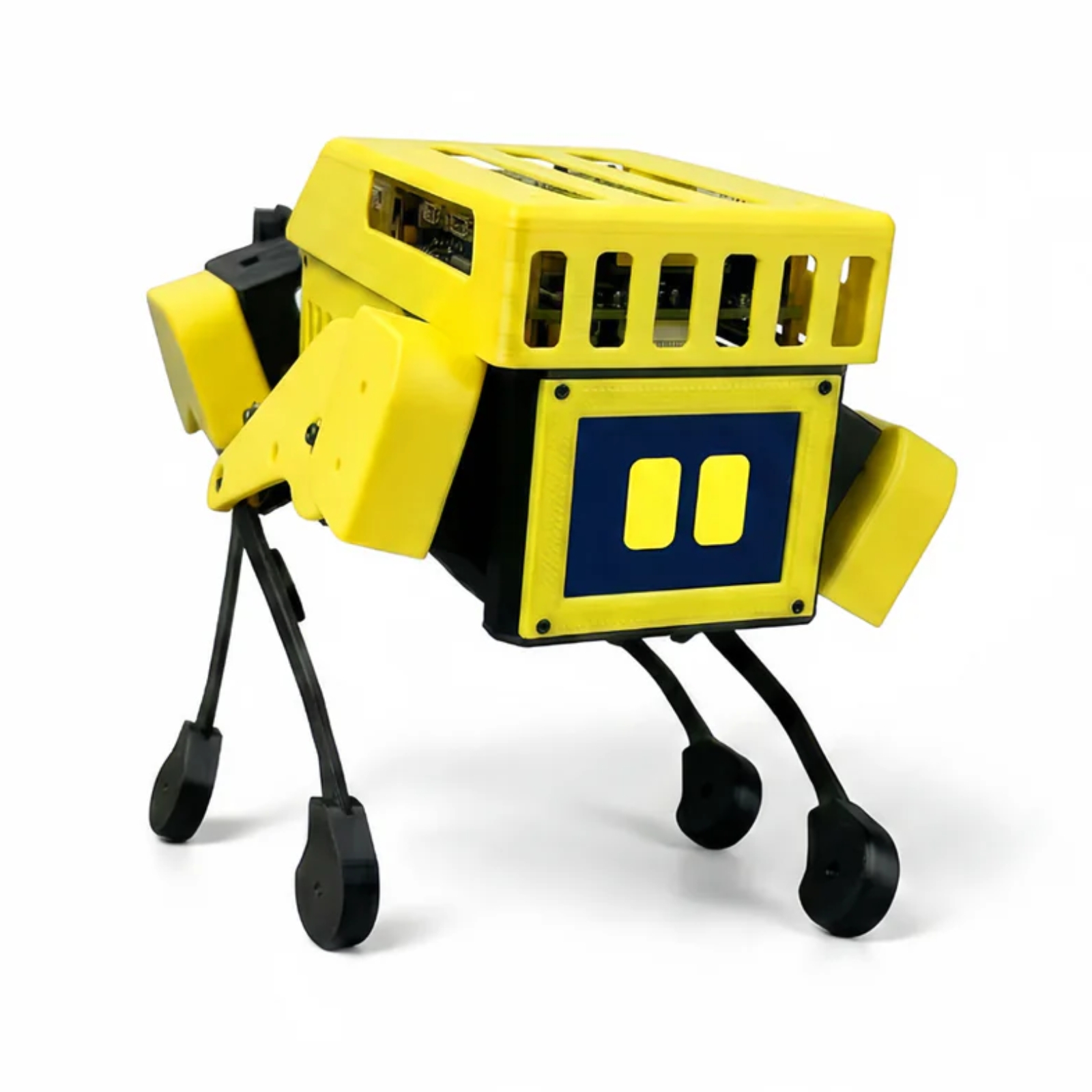 Mini Pupper robot