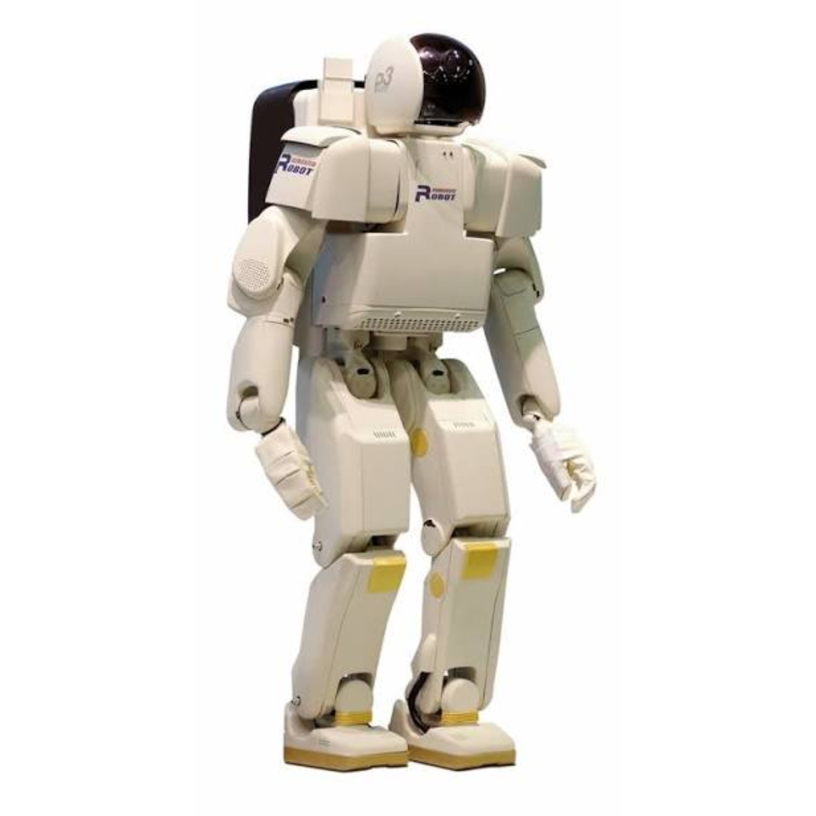 P3 — image 1