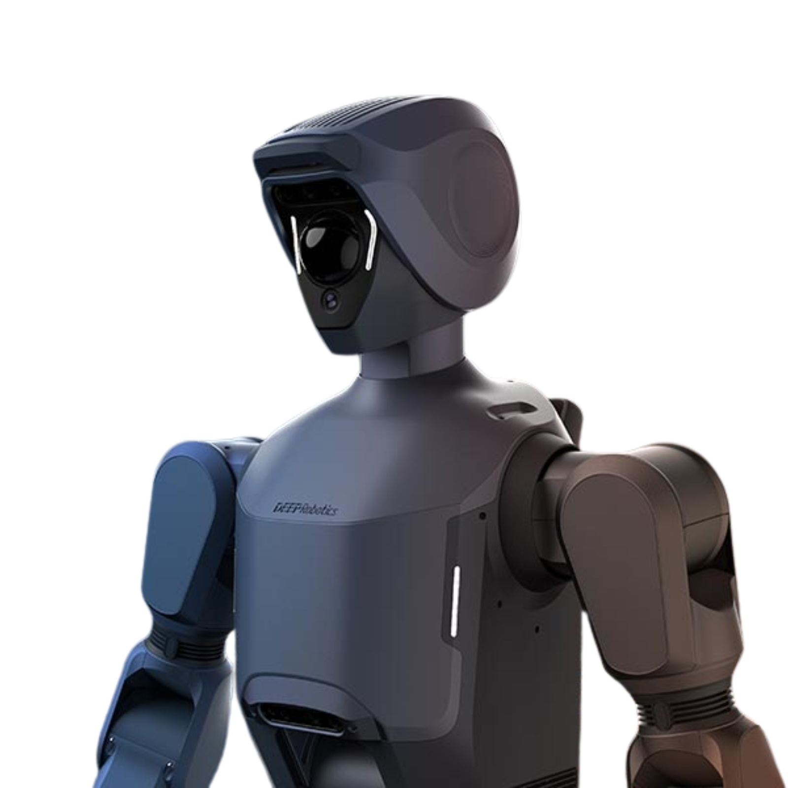 DR02 — image 1