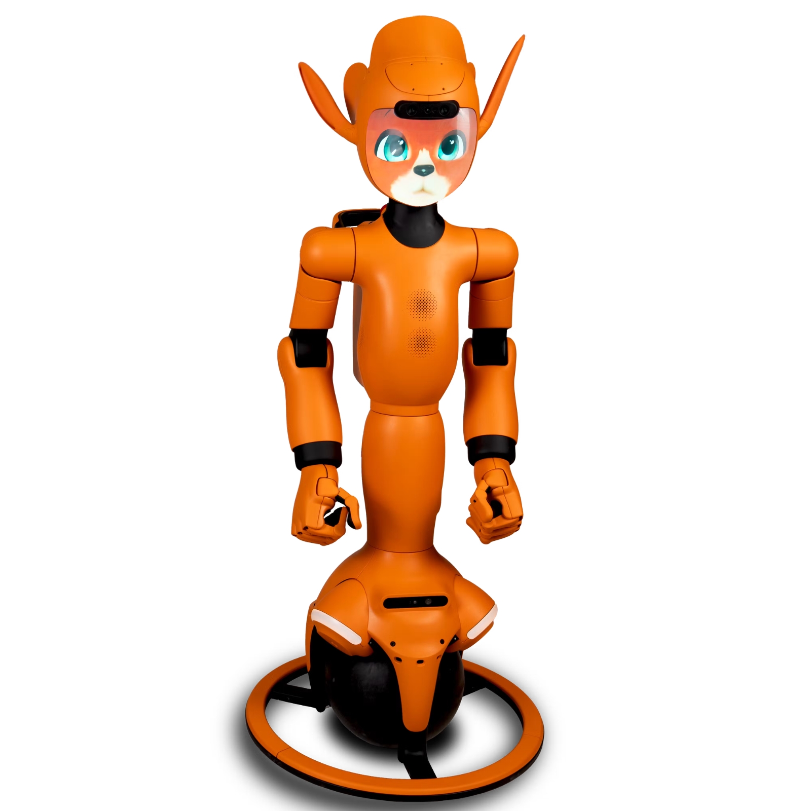 Mirokaï robot