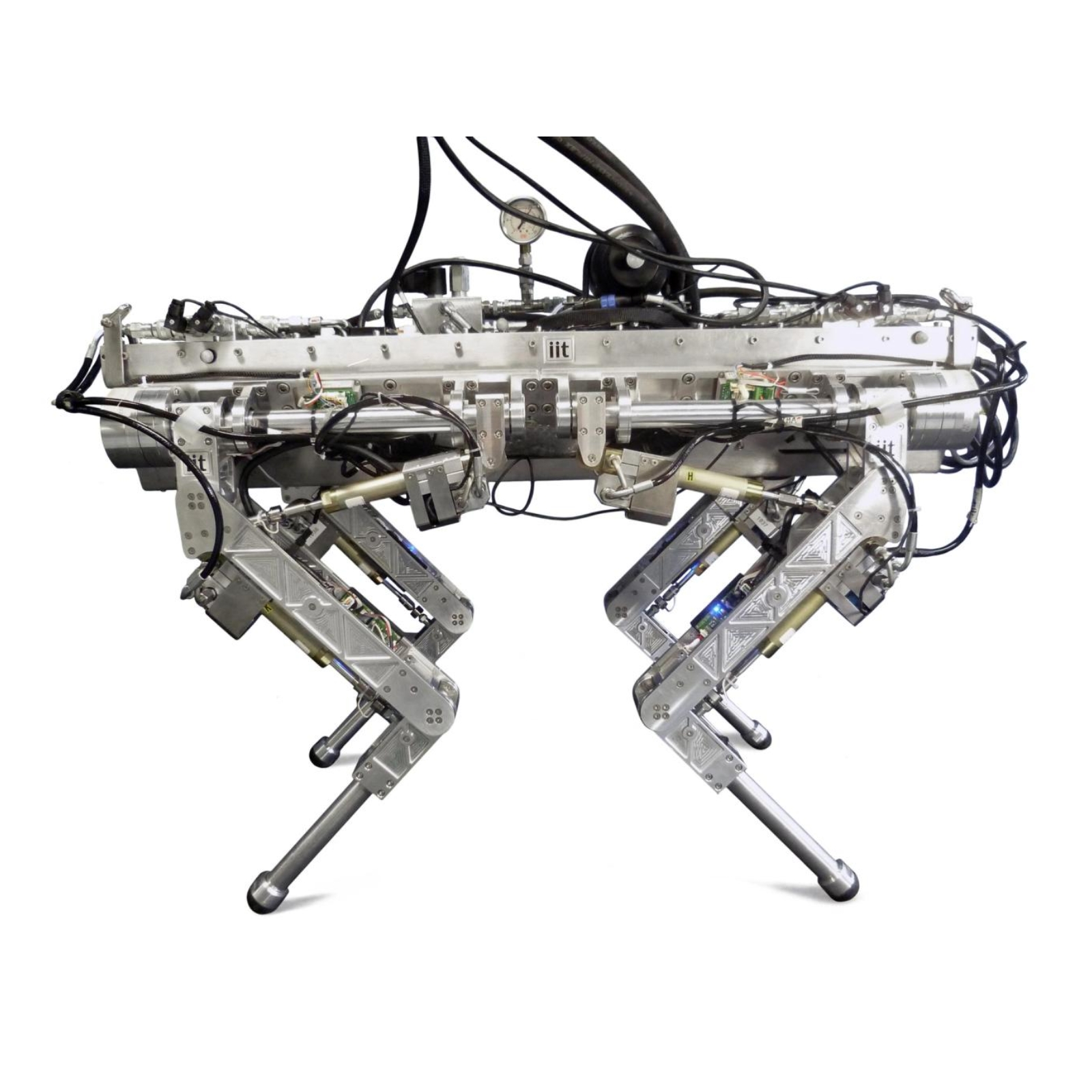HyQ — image 2