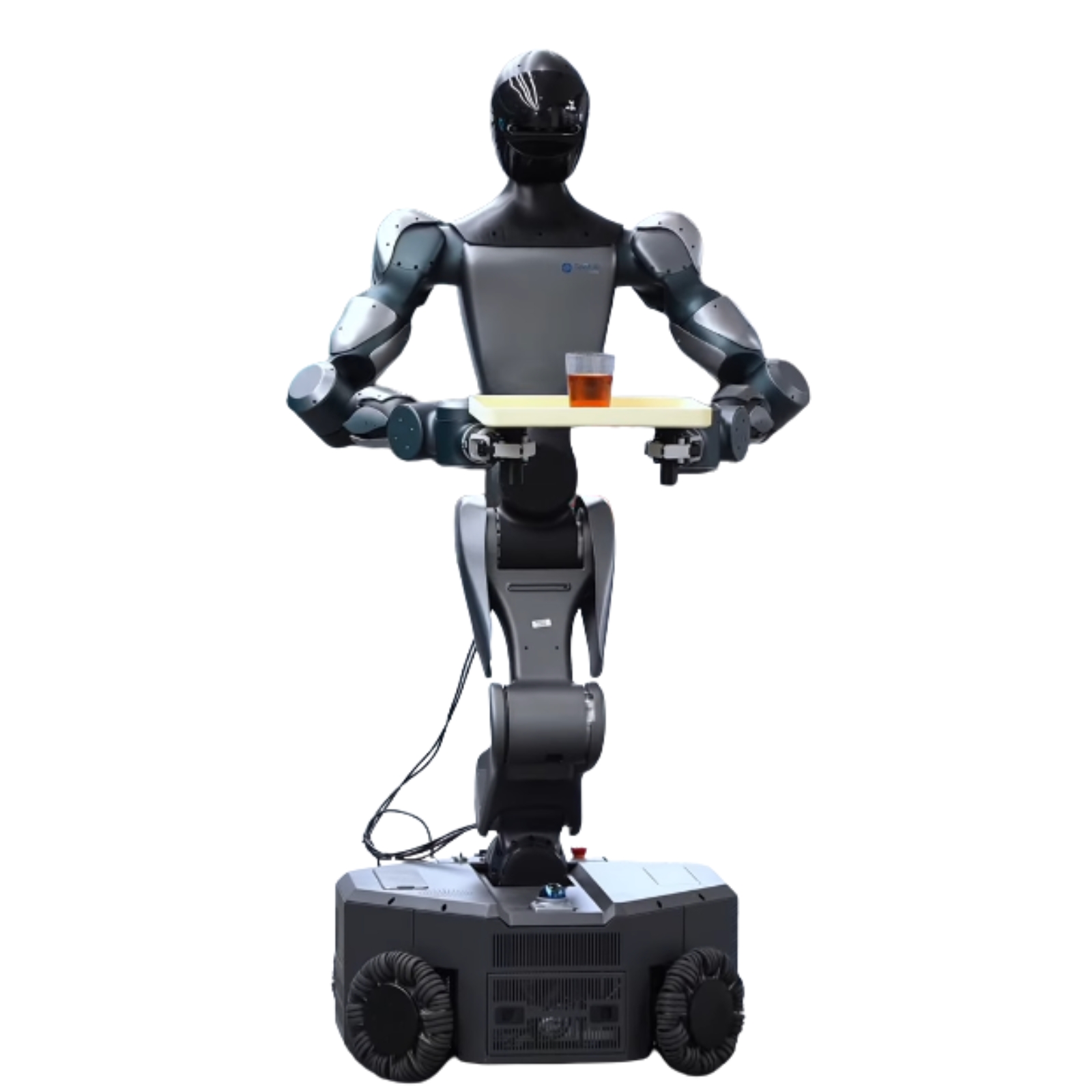 Moz1 robot