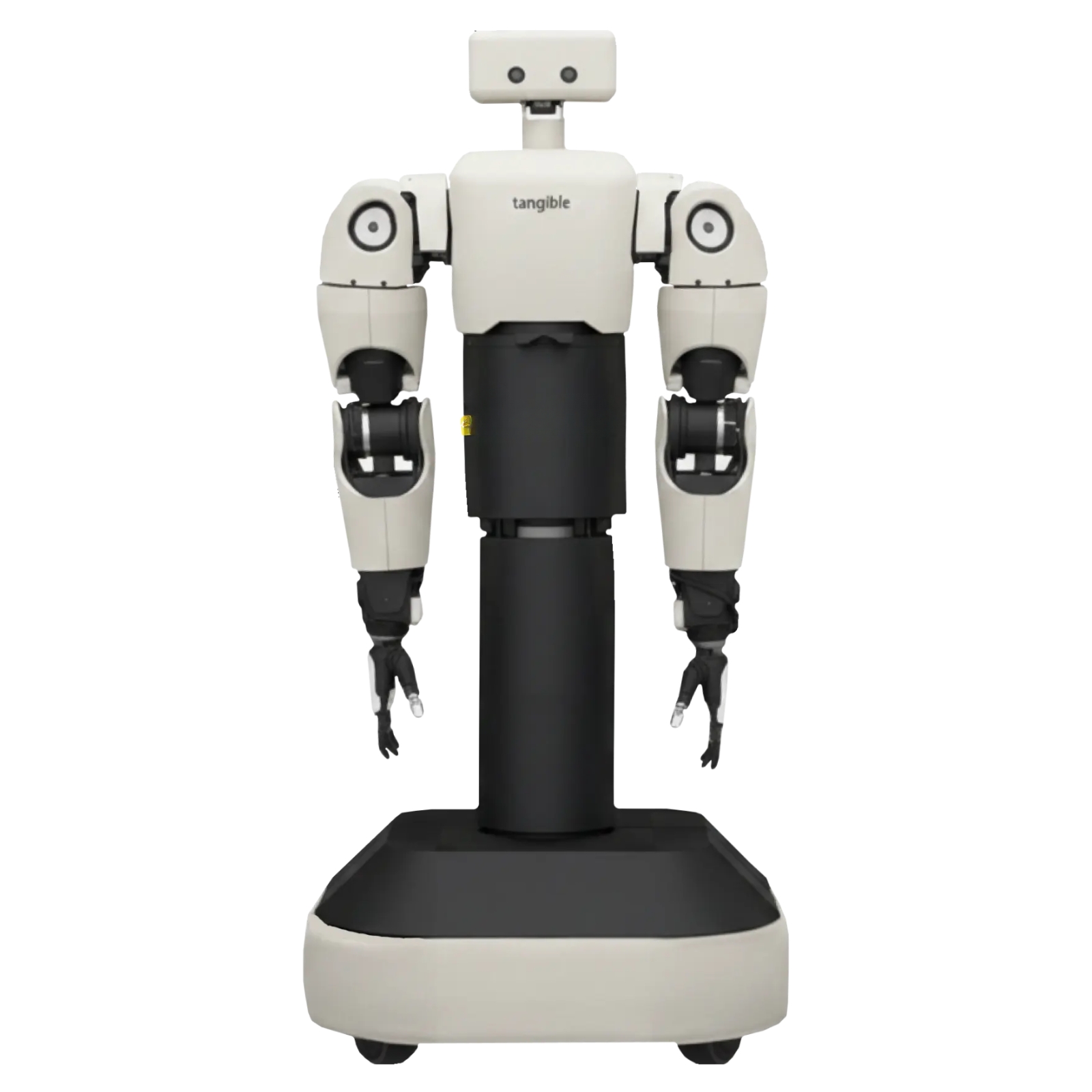 Eggie robot