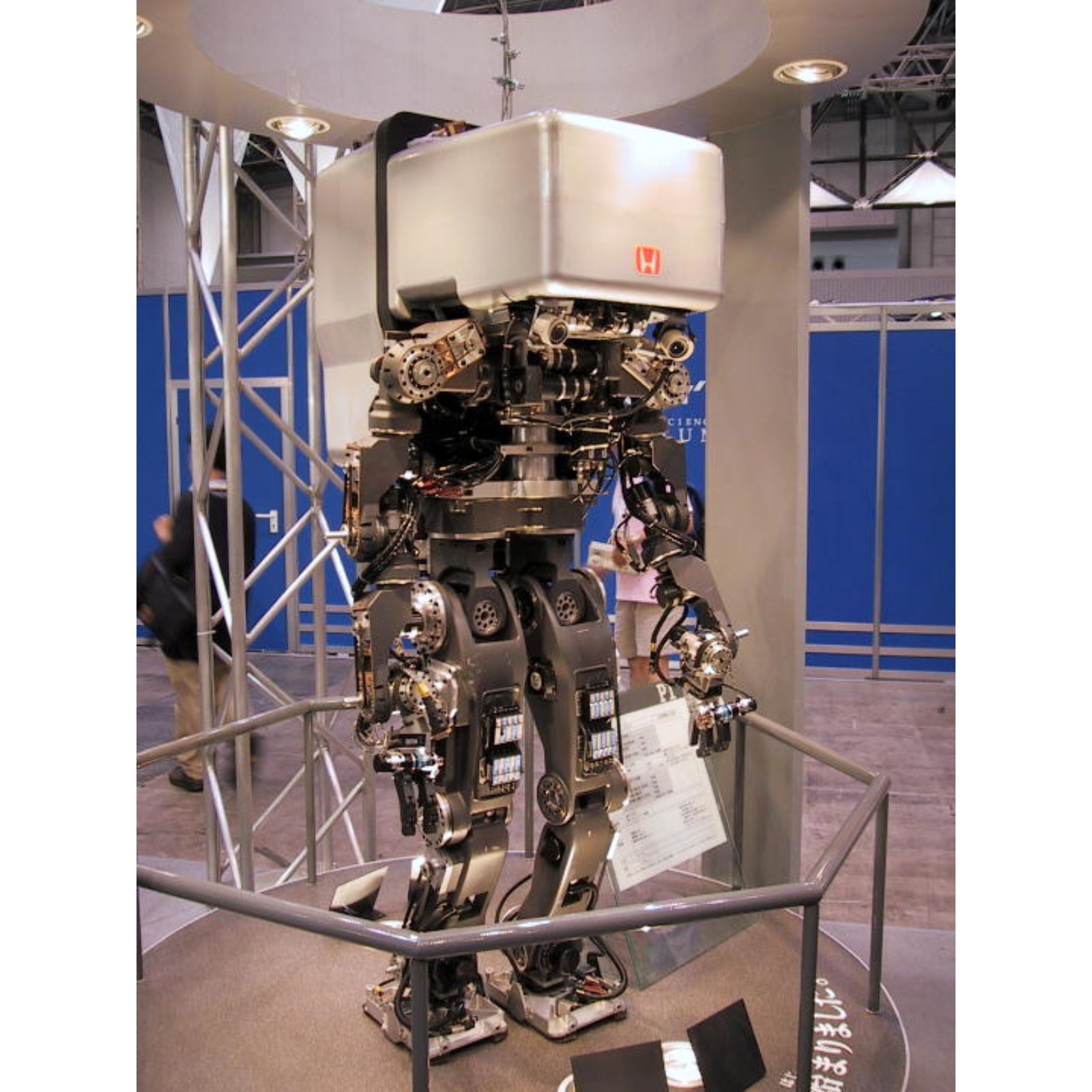 P1 — image 2