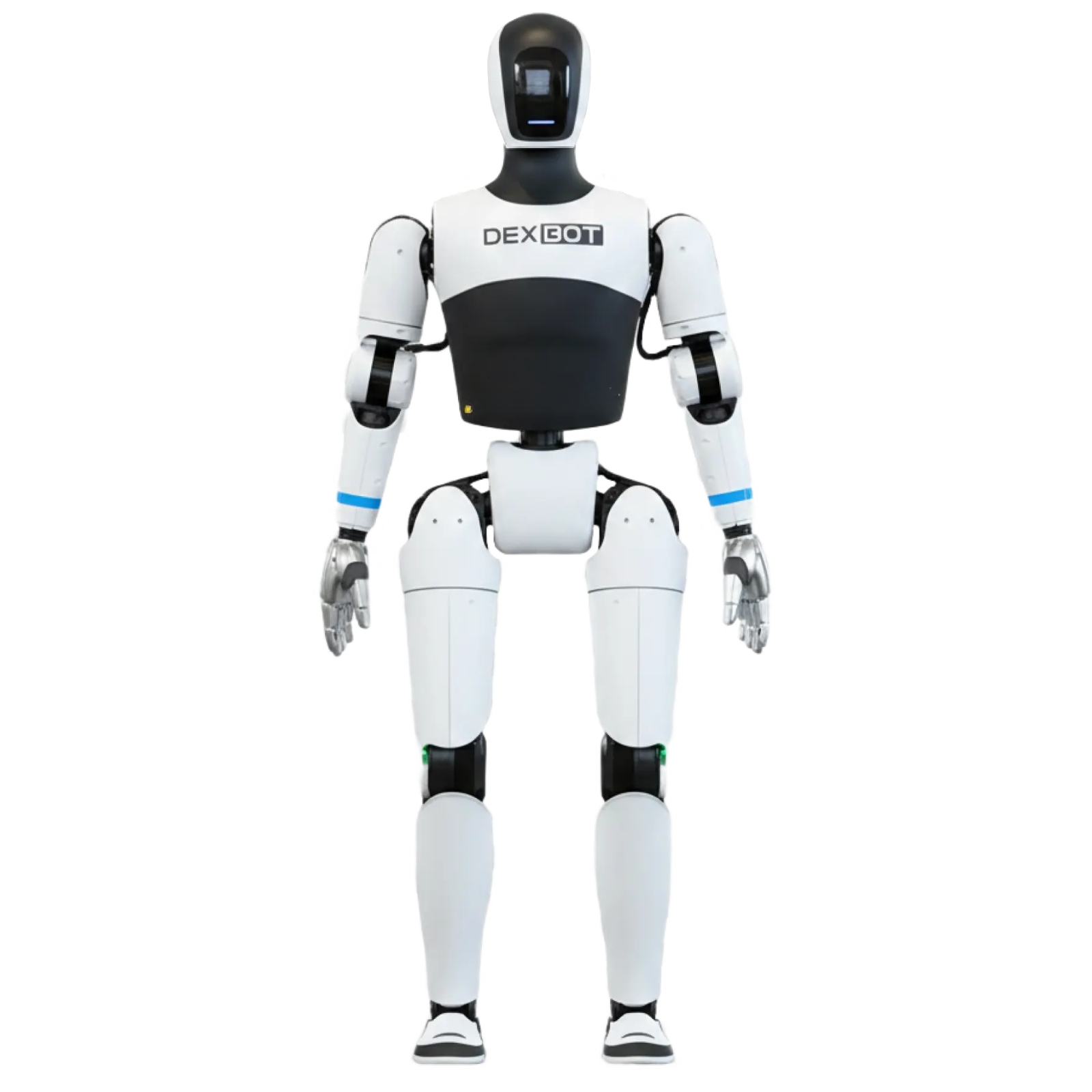 DexBot robot