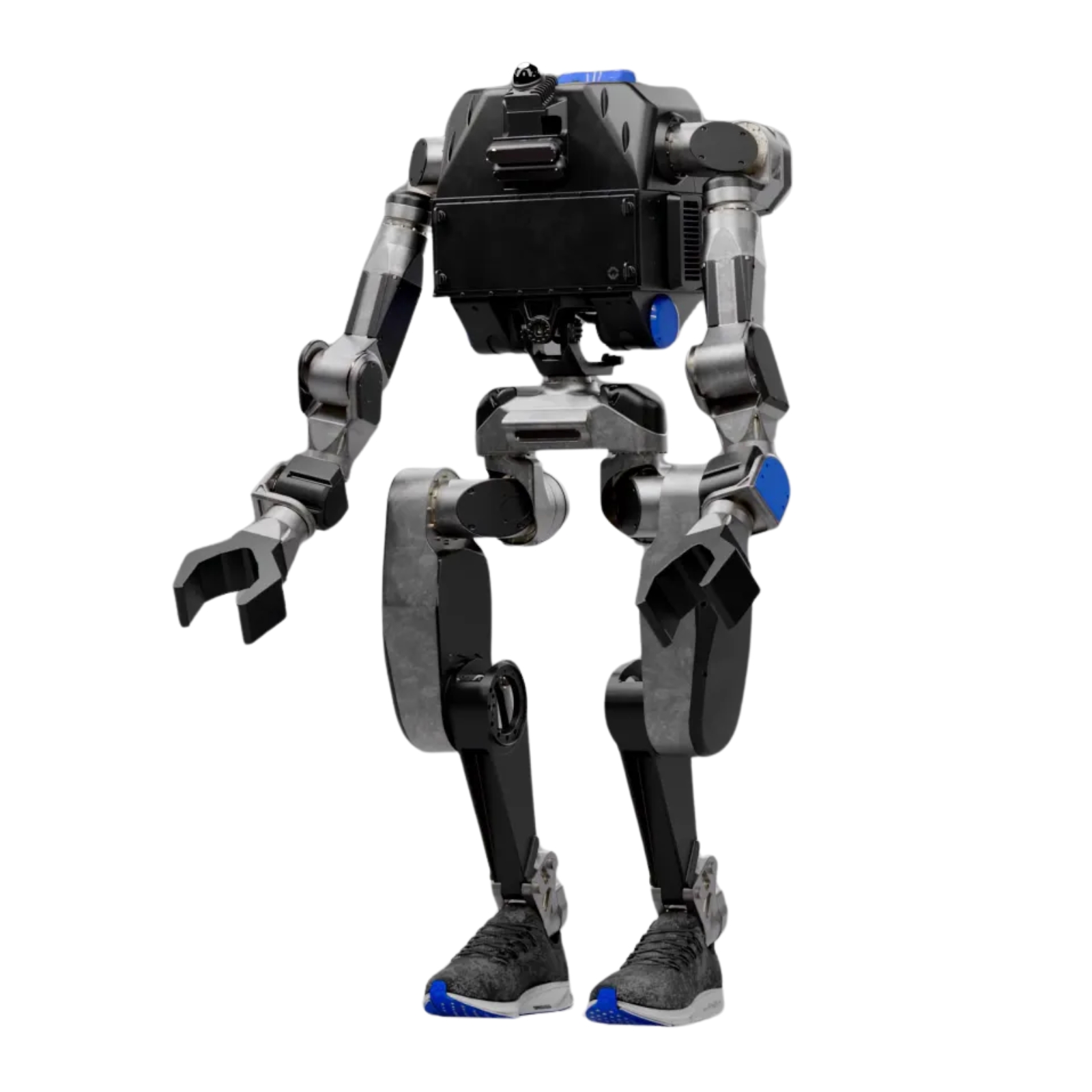 Moby robot