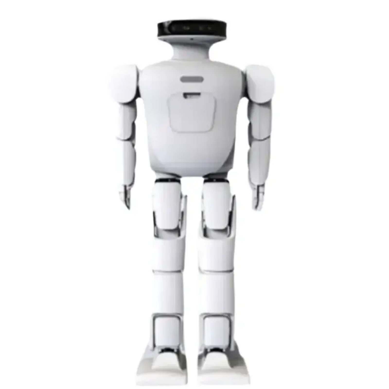 ROBAN robot