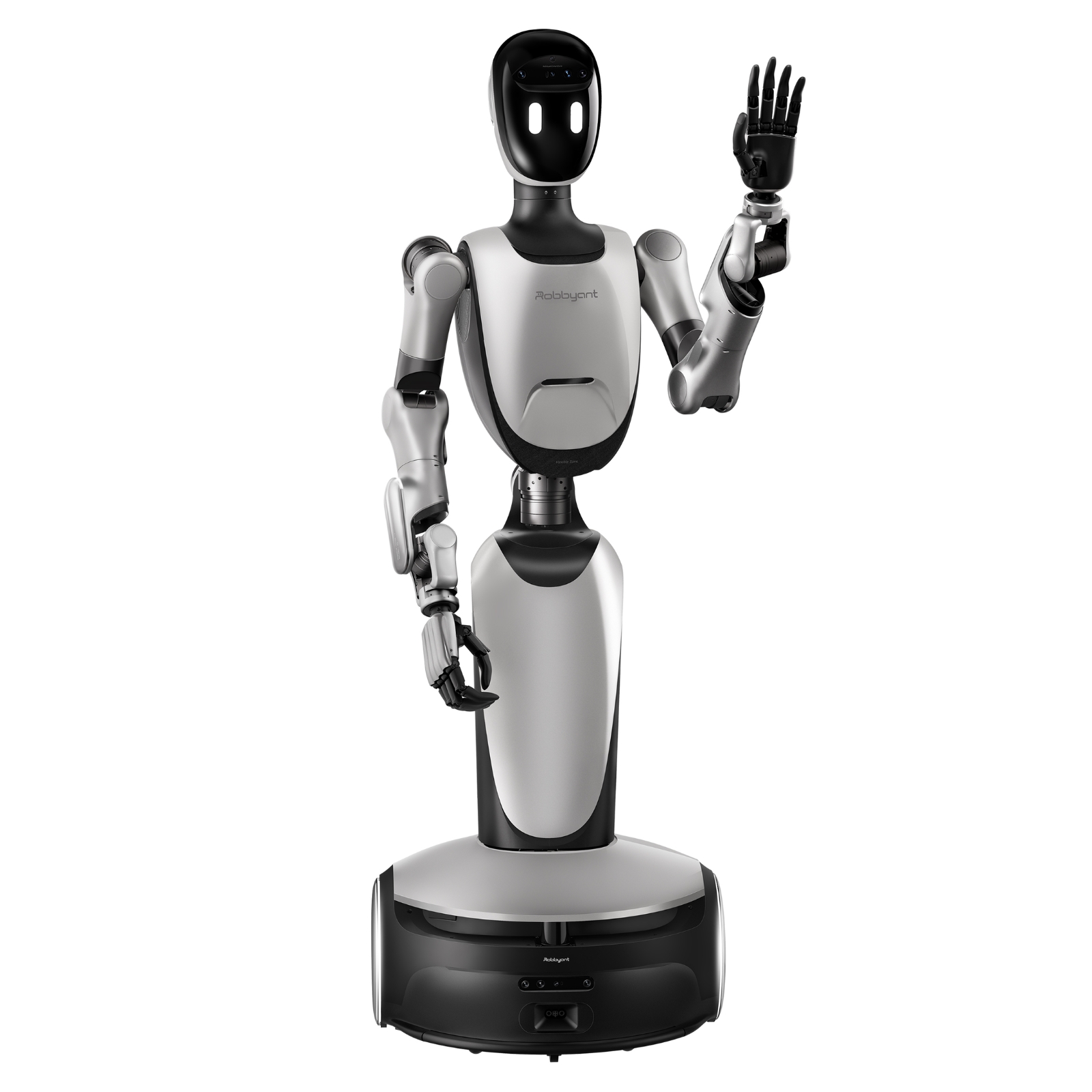 R1 robot