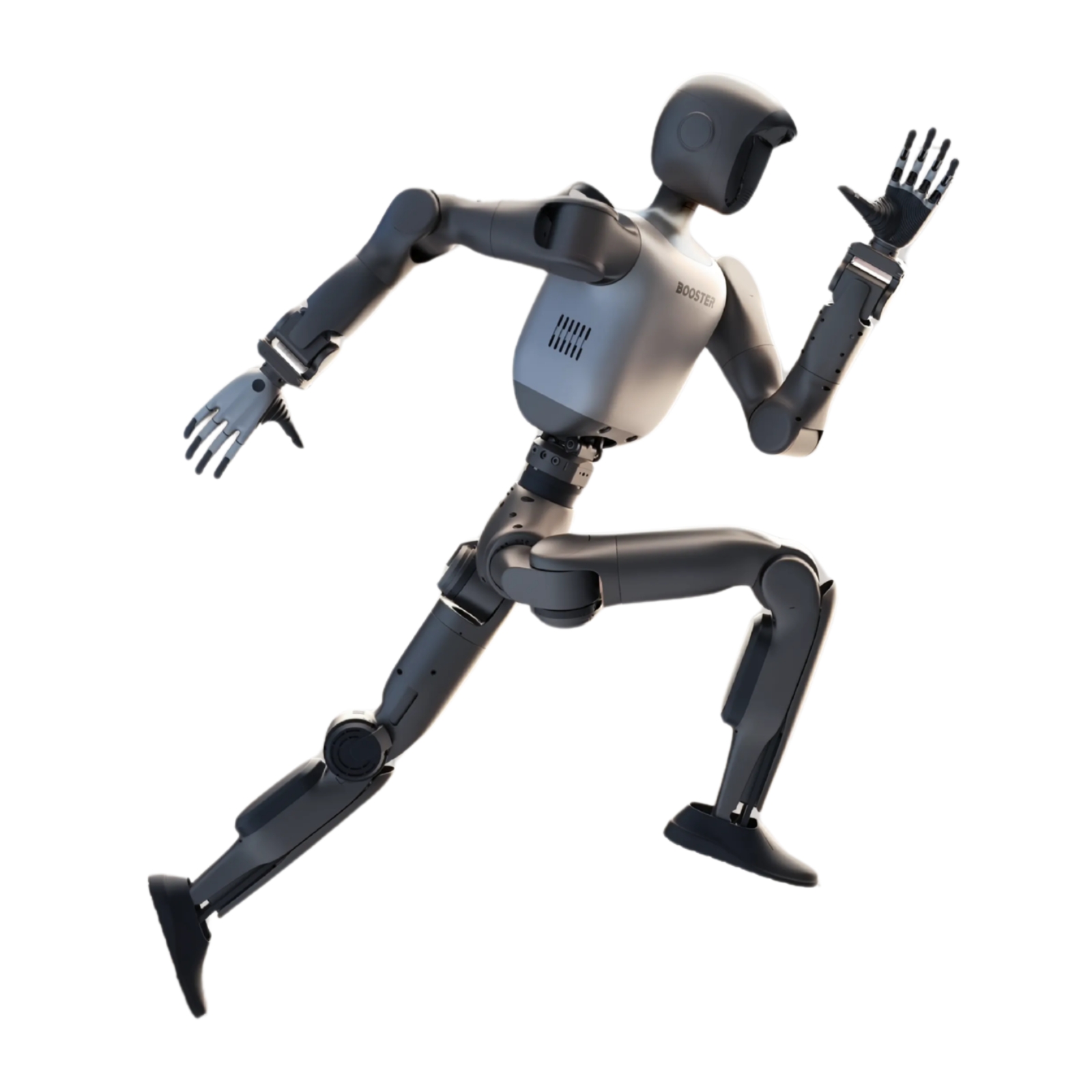 T2 robot